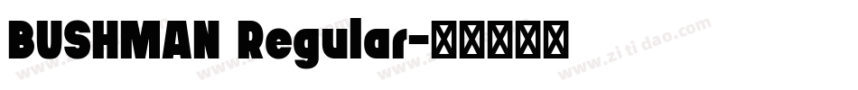 BUSHMAN Regular字体转换